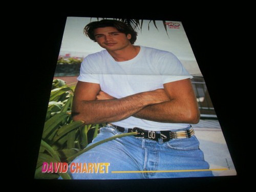 Poster David Charvet * Magneto * 42 X 30 (g048)