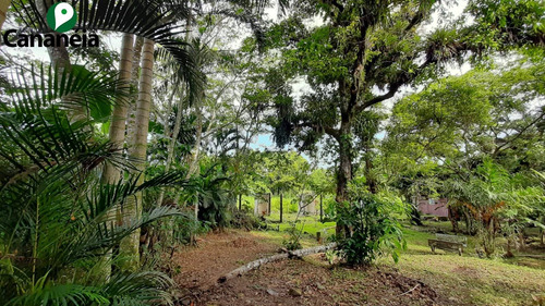 Imagem 9 de 25 de Ótimo Terreno Com 1.150,00 M² No Jardim Candairó - Cananéia - Litoral Sul De Sp - Te00087 - 70424942