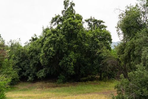 Espectacular Parcela De 4 Hectáreas En Parque Río Clarillo