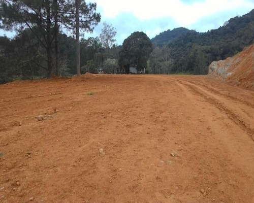 Imagem 23 de 30 de Fazenda - 0195 - 32820324