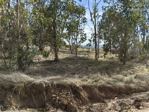 Terreno En Venta En Comuna De Navidad, 5.000 M2, Vi Región,