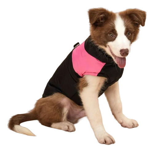 Campera Impermeable Combinado Para Mascota