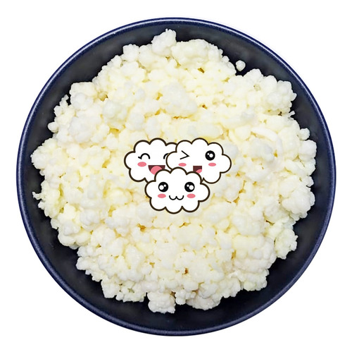 Búlgaros De Leche De Excelente Calidad Para Preparar Yoghurt