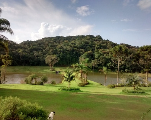 Imagem 3 de 30 de Excelente Sítio Rico Em Água Á Venda Em Juquitiba. - 194 - 32982689