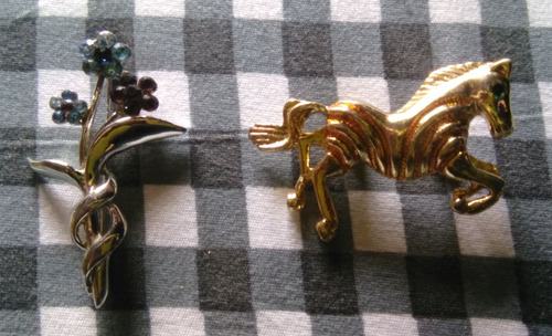 Broches O Prendedores Dama (Usado)