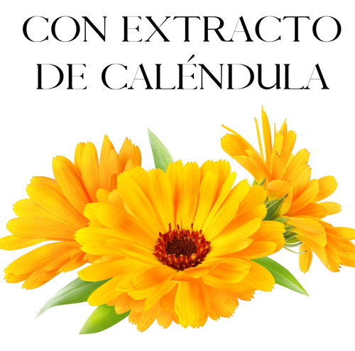 Kitdúo Té Verdeoleum Vitae Crema Y Aceite C/ Aceite Esencial