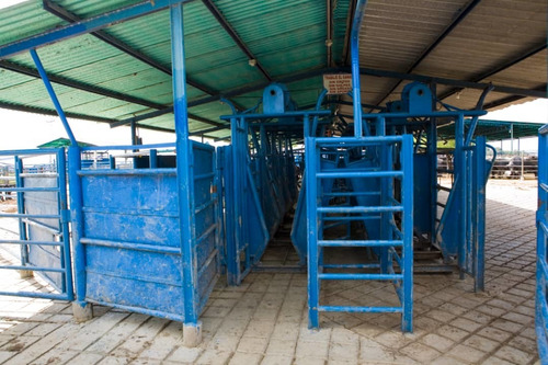 Imagen 18 de 25 de Finca Bufalina Barinas, Parroquia San Silvestre En Venta