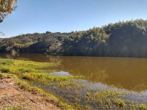 Imagem 19 de 30 de Fazenda Centenária Três Corações 170 Hectares 7.000,000,00 - 41026
