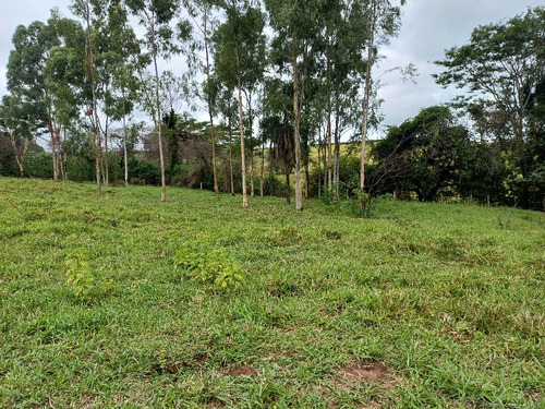 Chácara Em Área Rural Com 3.500 Metros Quadrados.