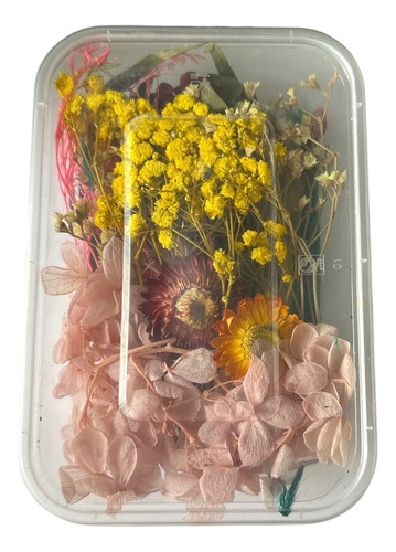 Caja De Flores Secas Para Manualidades / Modo Resina