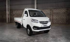 Foton Tm1 Cabina Simple  Dual