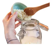 Comprar Kefir De Leche \u002F Búlgaros De Leche \u002F Nódulos + Asesoria
