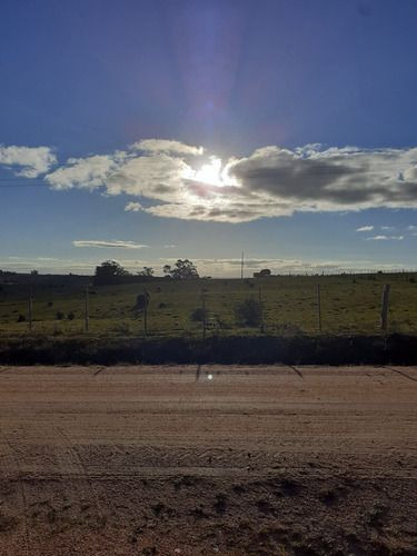 Venta De 60 Hectáreas Por Ruta 13 Paraje El Maturrango Roch (ref: Ksk-719)