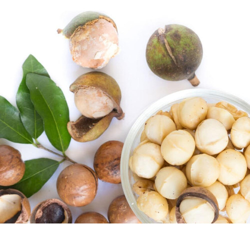 Aceite De Macadamia Concentrado, Mxanm-001, Frasco Con Goter