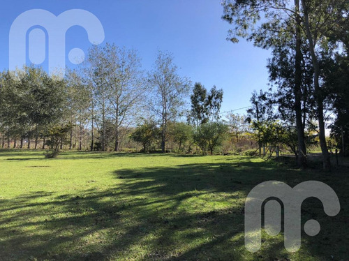 Imagen 12 de 12 de Terreno - City Bell