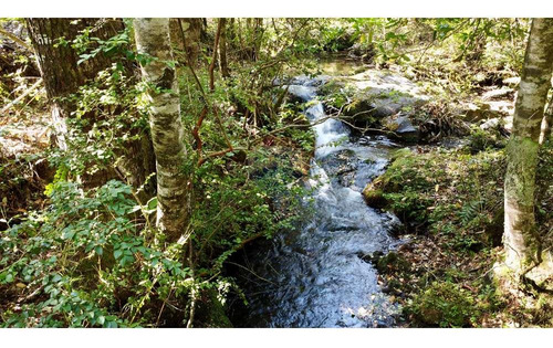 Plot In Pucón, Los Riscos Safe Investment