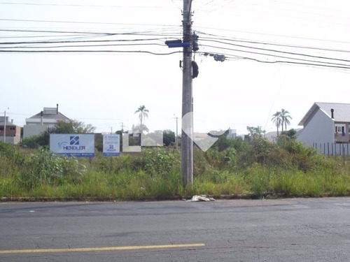 Imagem 3 de 3 de Terreno - Estancia Velha - Ref: 43496 - V-58465668
