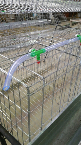 Casas Para Gallinas Capacidad 96. Y 144 Aves