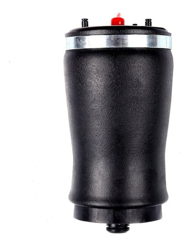 Bolsa De Aire Suspension Trasera Bmw X5 2000 &