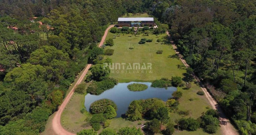Imagen 2 de 24 de Importante Casa En Chacra Ubicada En Rincon Del Indio