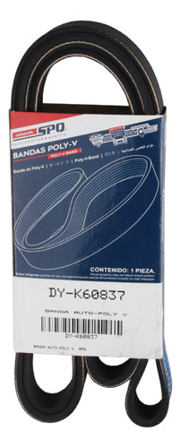 Banda Poly-v Accesorios Focus 2.0 2000 2001 2002 2003 2004