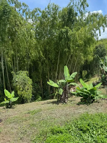 Vendo Finca Con Glamping De Lujo En Morelia