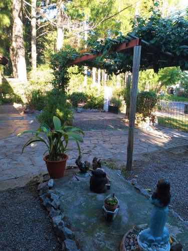 Imagen 5 de 23 de Casa Y Apto. En Balneario Zagarzazu