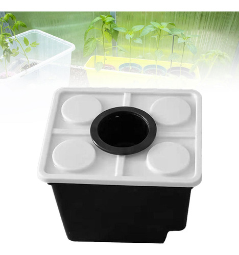Cultivo De Barriles Holandeses Negro Con Tapa De 1 Agujero