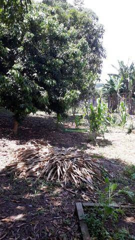 Imagem 11 de 14 de Chácara Com 3 Dormitórios À Venda, 1000 M² Por R$ 330.000,00 - Parque Interlagos - São José Dos Campos/sp - Ch0642