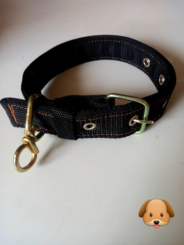 Collar Para Perros Razas Grandes Medianas Y Pequeñas.