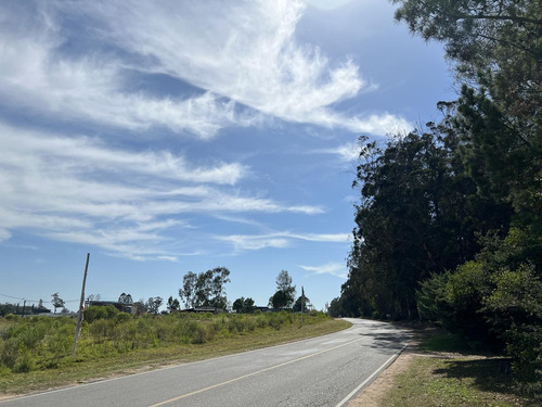 Terreno - Parque Burnett