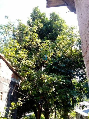 Imagem 2 de 26 de Terreno À Venda No Bairro Jardim Zaira - Mauá/sp - 255