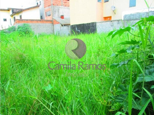 Imagem 4 de 6 de Terreno Residencial Para Locação, Jardim Quaresmeira, Suzano/sp. - Te0089 - 68334575