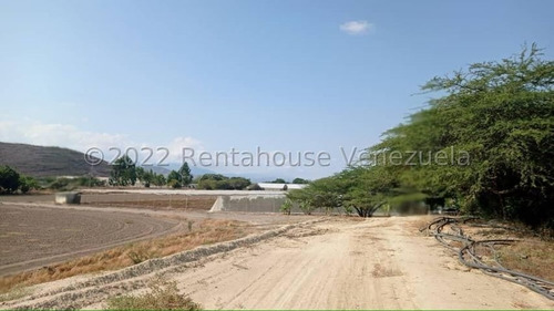 Imagen 8 de 30 de Fina En Venta Quibor Estado Lara, 04245937542