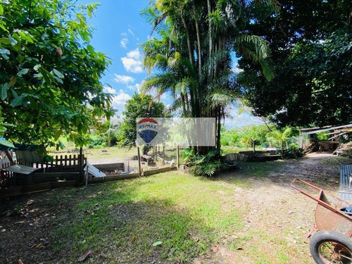 Imagem 16 de 23 de Chácara - 3 Quartos - 3.600m² - Tapanã, Belém/pa - Rmx_7971_460022