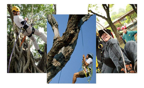L0d Árbol Ajustable Escalando Espolones Y Correas De