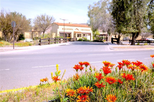 Sitio Hacienda Chicureo