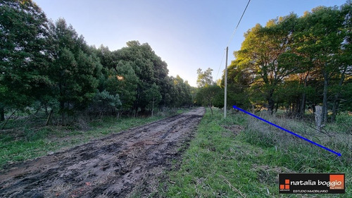 Imagen 3 de 14 de Lote De 400 Mts2 Arenas De Oro V4634 Con Escritura