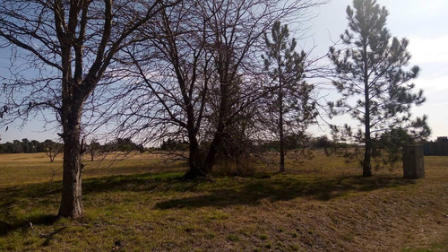 Imagen 14 de 18 de Lote En Venta En Pilar (country Con Golf)