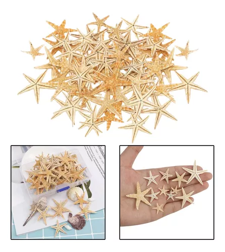 gopiter 12 piezas de estrellas de mar Decoración de estrellas de mar de 2.5  a 6 pulgadas Conchas naturales de estrella de mar a granel perfectas – Yaxa  Store