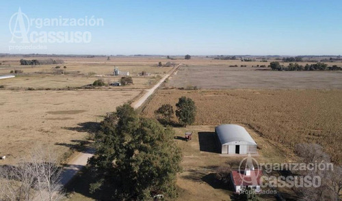 Imagen 4 de 17 de Chacra - Carmen De Areco