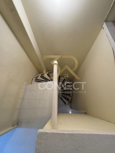 Casa En Renta O Venta En Lomas De Chapultepec 4r/3.5b/4e - Terraza - 600m2
