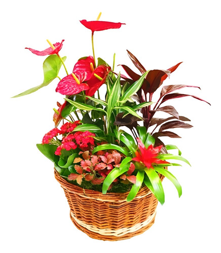 Planta Arreglos Florales Con Flores Artificiales