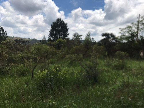 Imagem 25 de 30 de Chácaras Castelo Branco Km 68 Condomínio Vale Da Esperança Mairinque S-p