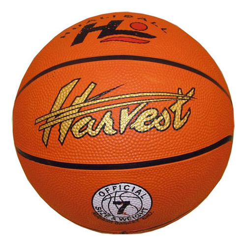 Pelota Basket Nro 7 Naranja Harvest Ploppy 368802