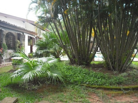 Rural - Venda - Santa Gertrudes - Cod. 81 - V81