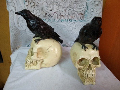 Cráneos En Resina Poliester