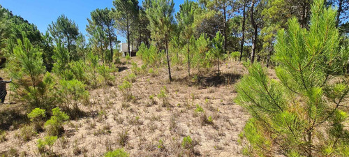 Imagen 12 de 13 de Lote 67 En Villa Robles Barrio 1