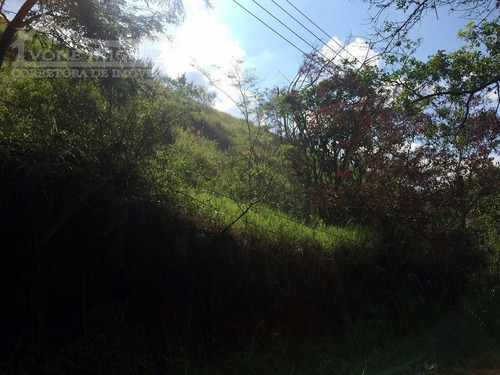 Imagem 3 de 15 de Sítio Em Três Porteiras - Paty Do Alferes - 1517
