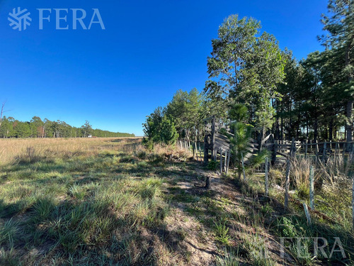 Venta De Campos En Santa Rosa - Concepción - Corrientes